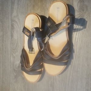 COPY - El Naturalista new